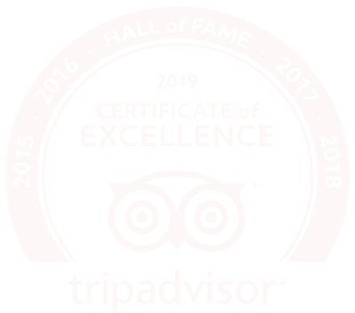 2019 Hall of Fall Certificate